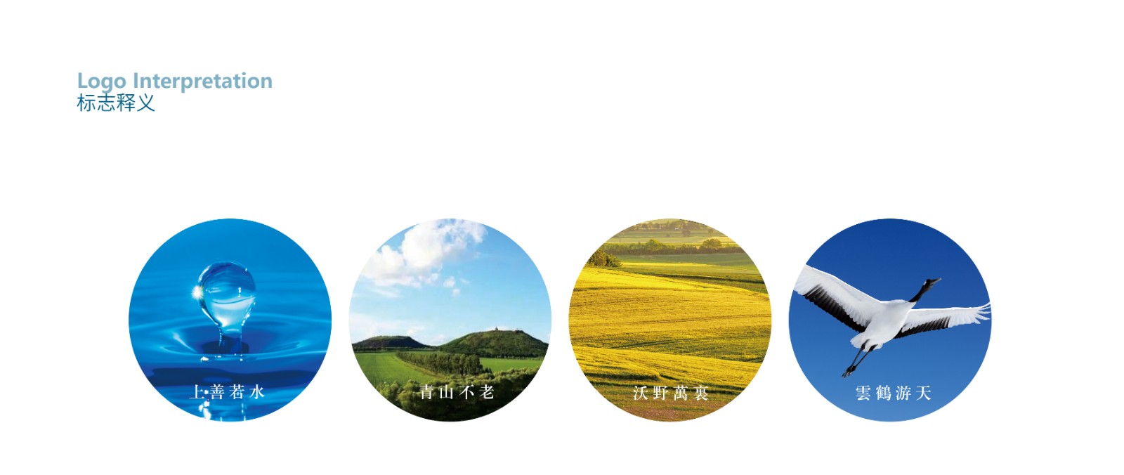 1631256028693756.jpg 1631256028693756.jpg